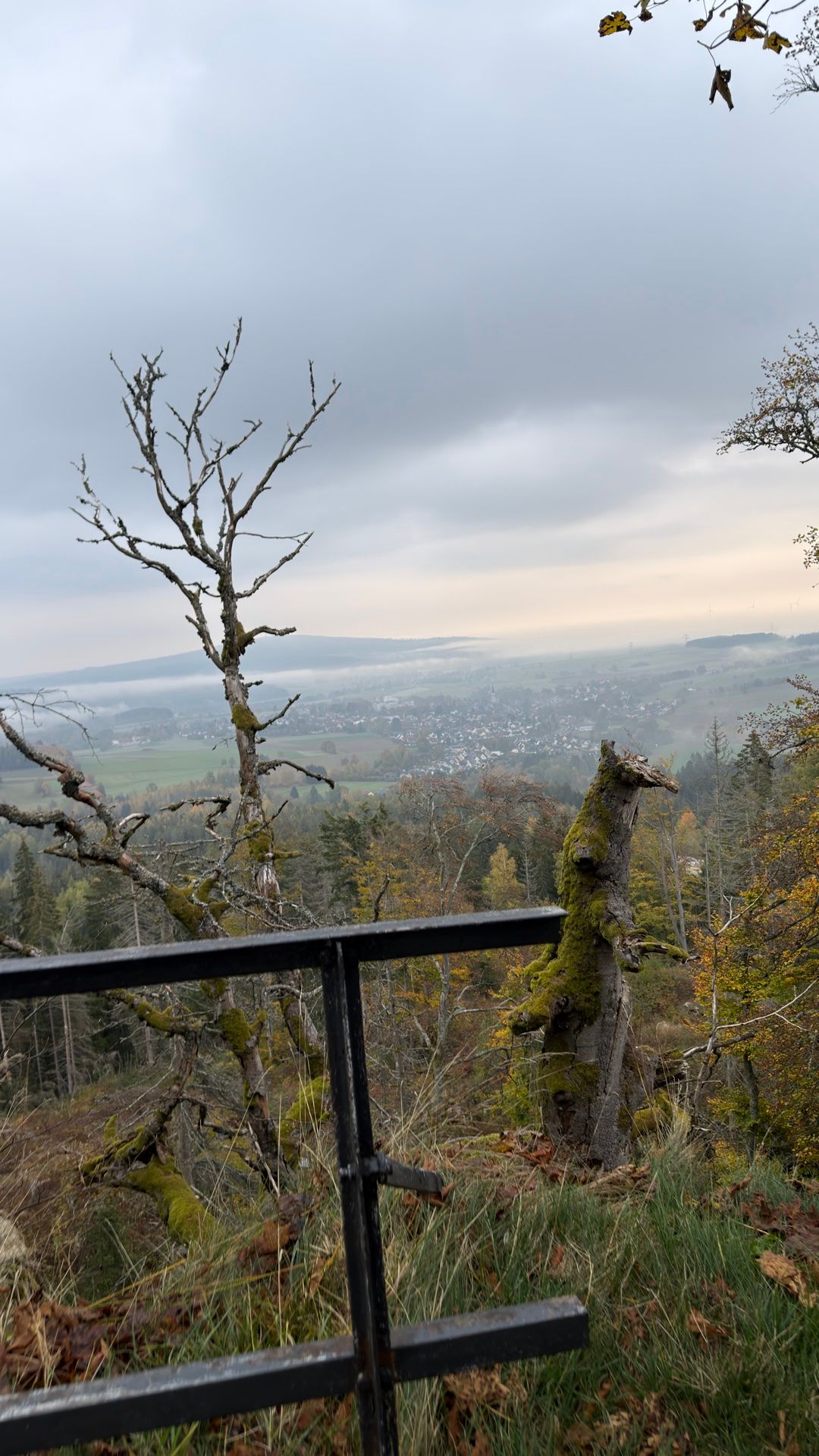 Blick von einem Aussichtspunkt im Fichtelgebirge über Nebelbänke und ein Dorf im Tal